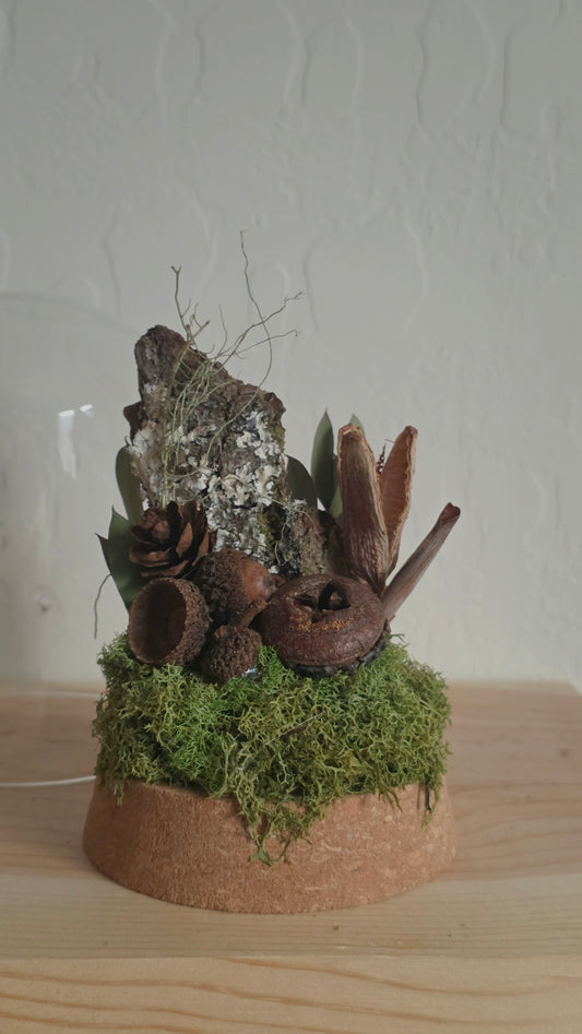 Woodland Dome .2