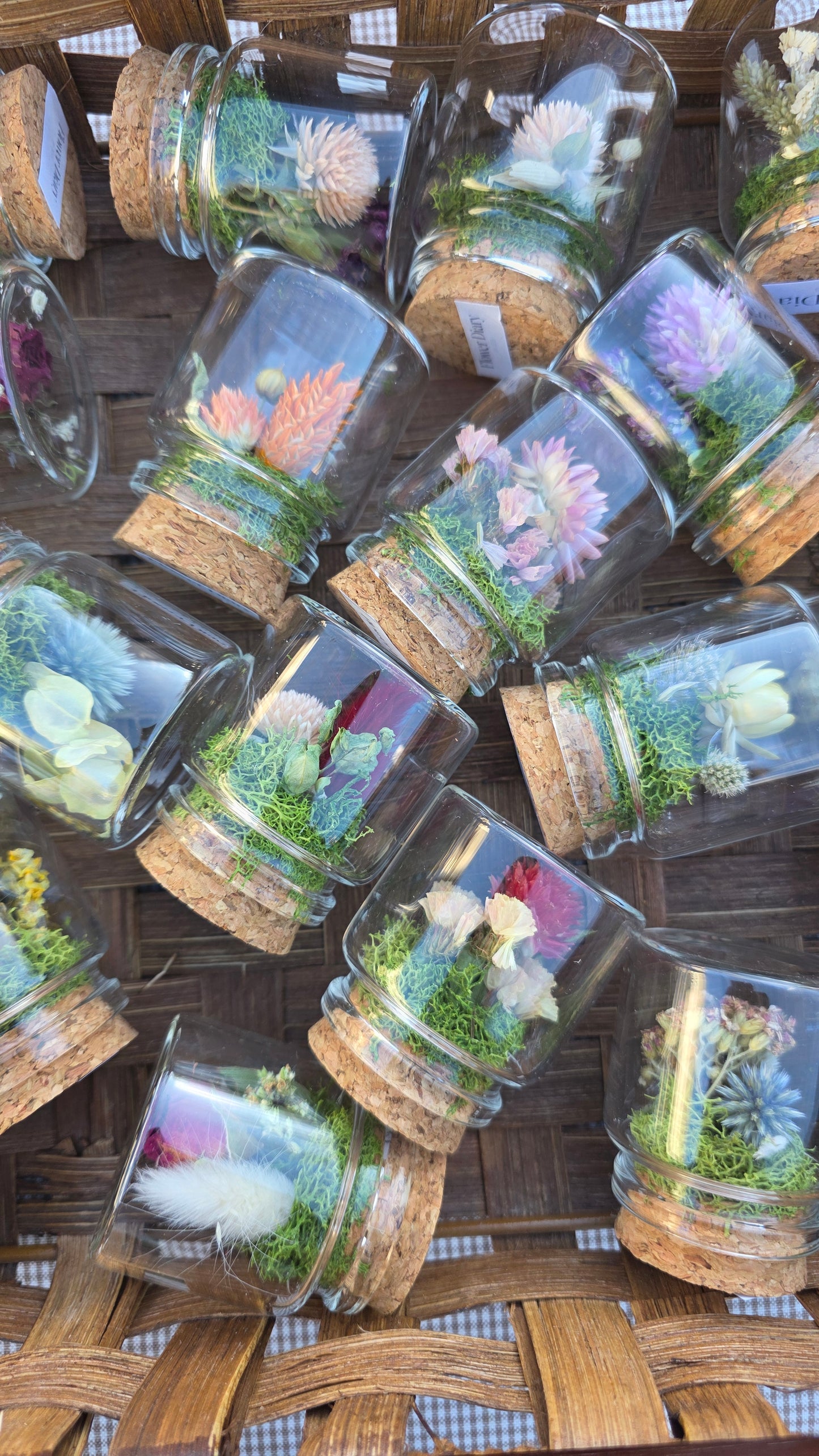 Mystery Mini Terrarium Box