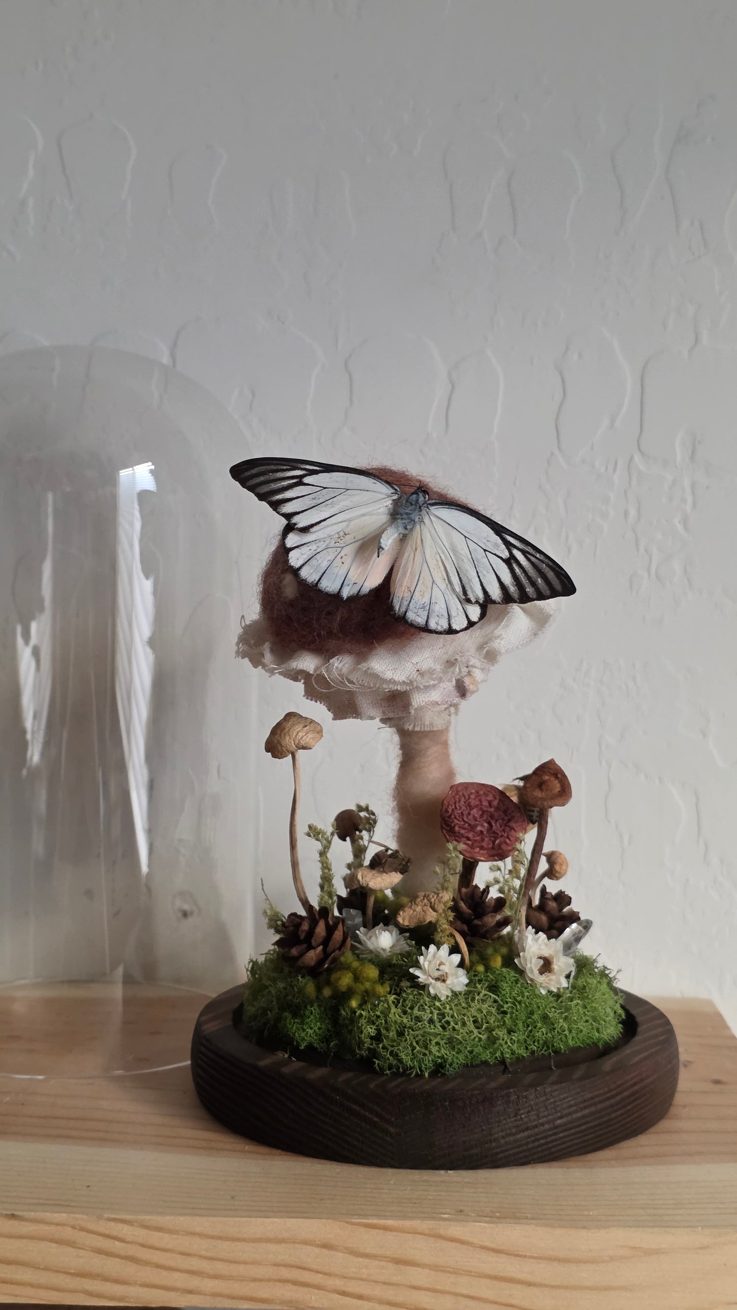 The Mushroom Stop Dome