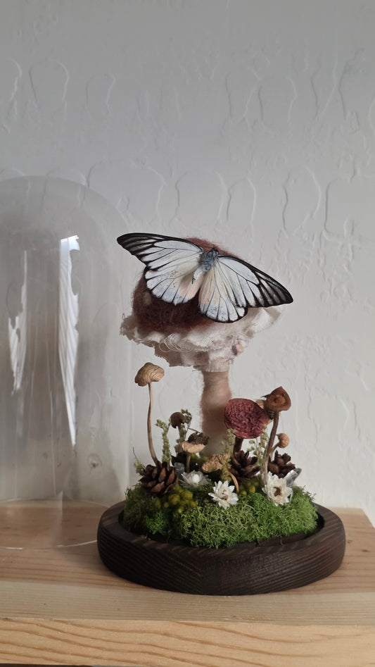 The Mushroom Stop Dome