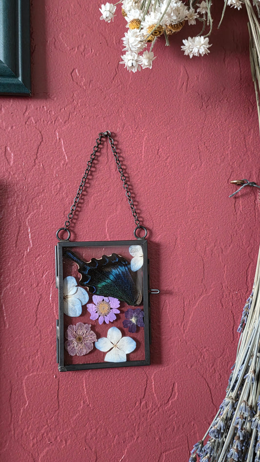 Peacock Swallowtail Wing Frame