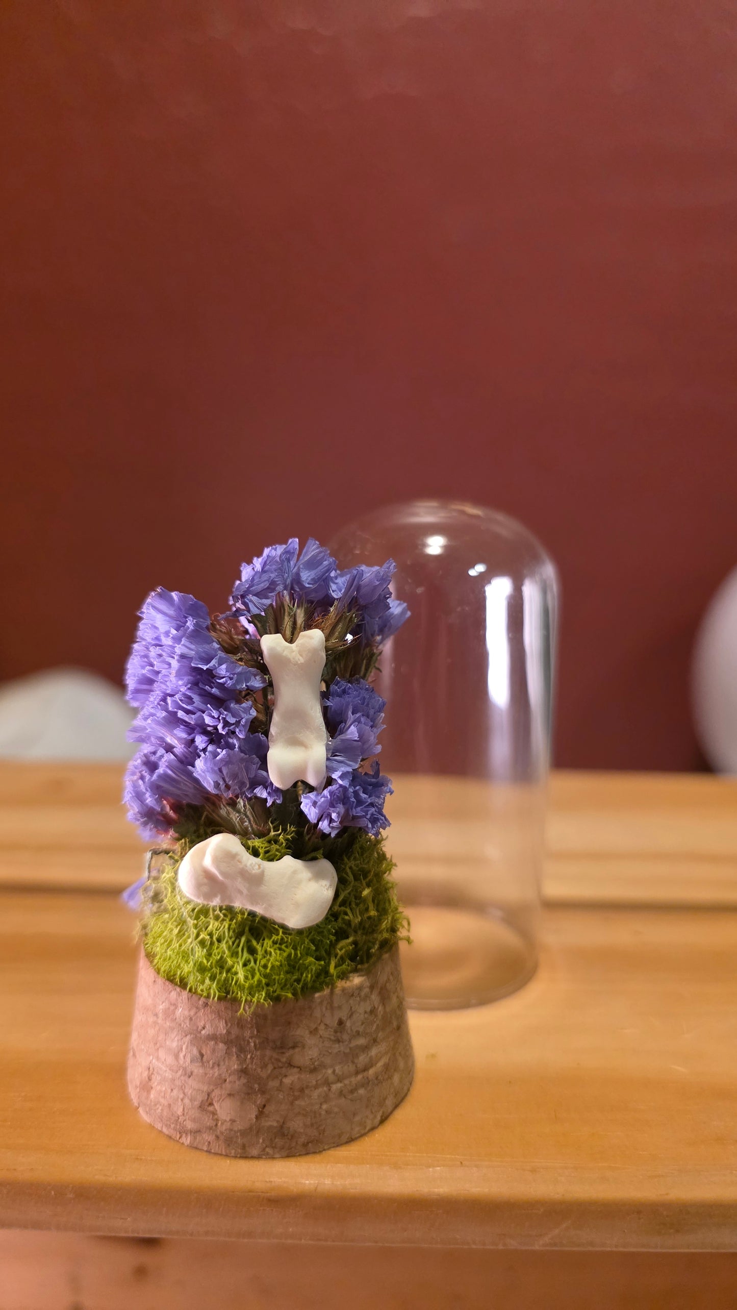 Rodent Bones Dome .2