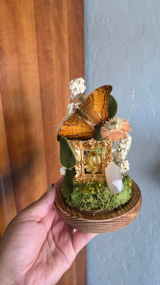 Frame Butterfly Dome