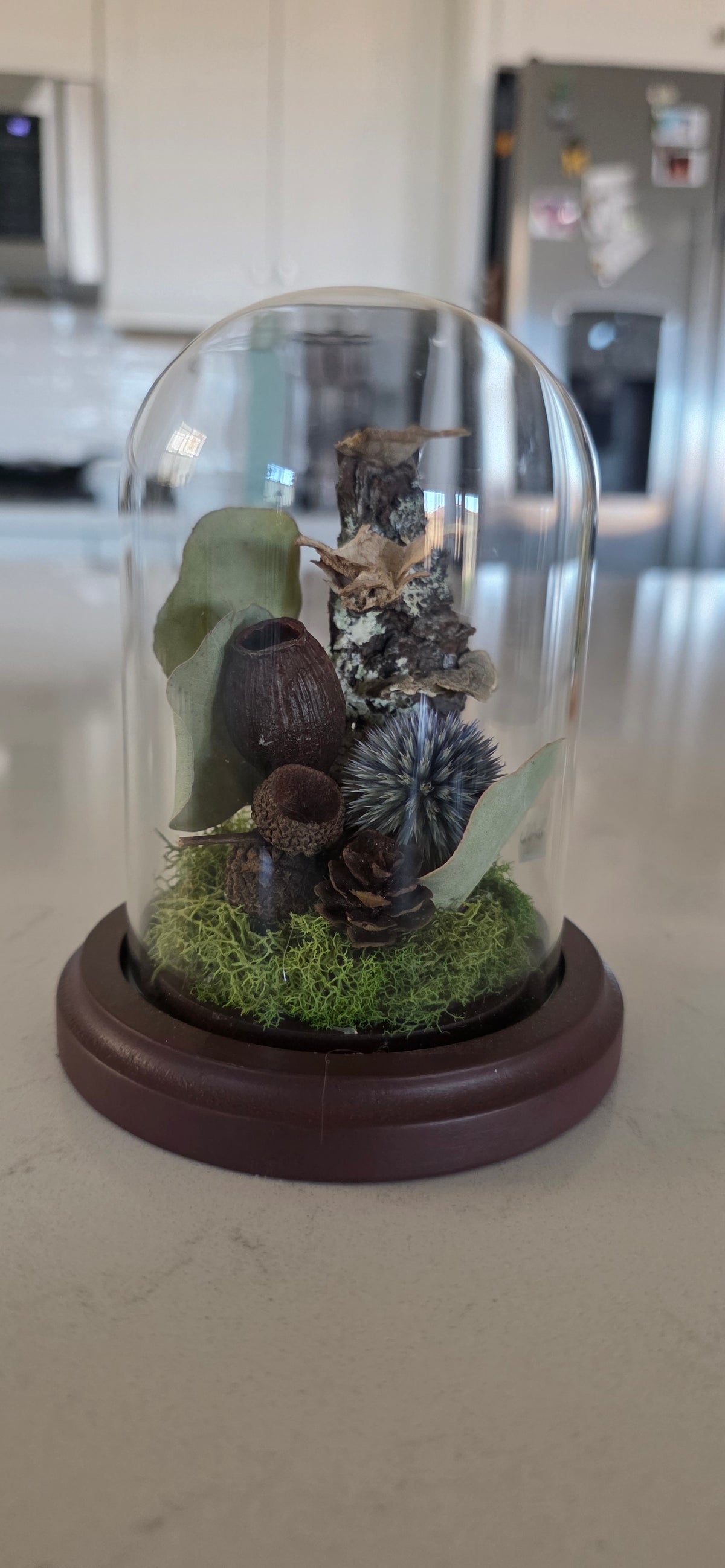 Woodland Dome .3