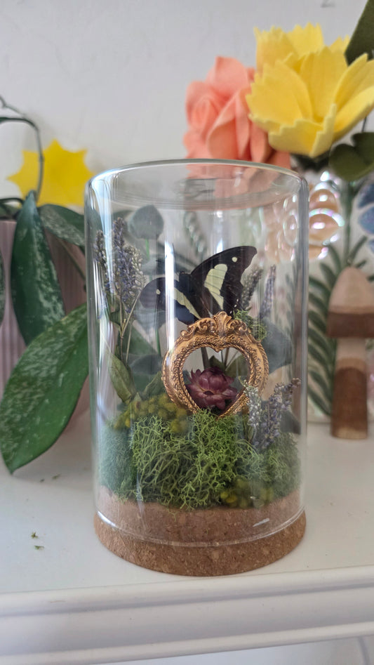 Mini Heart Frame Butterfly Dome