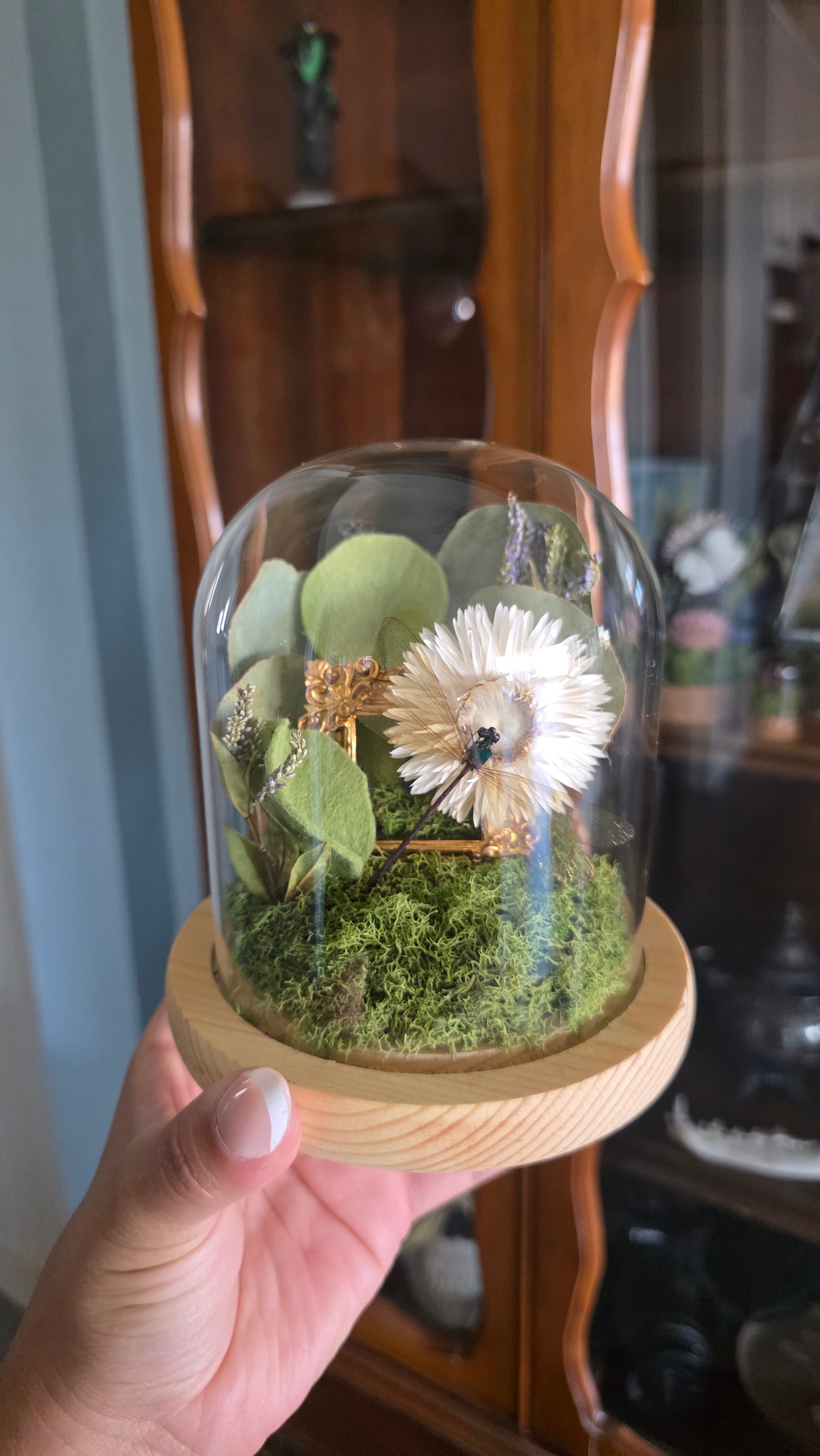 Dragonfly Frame