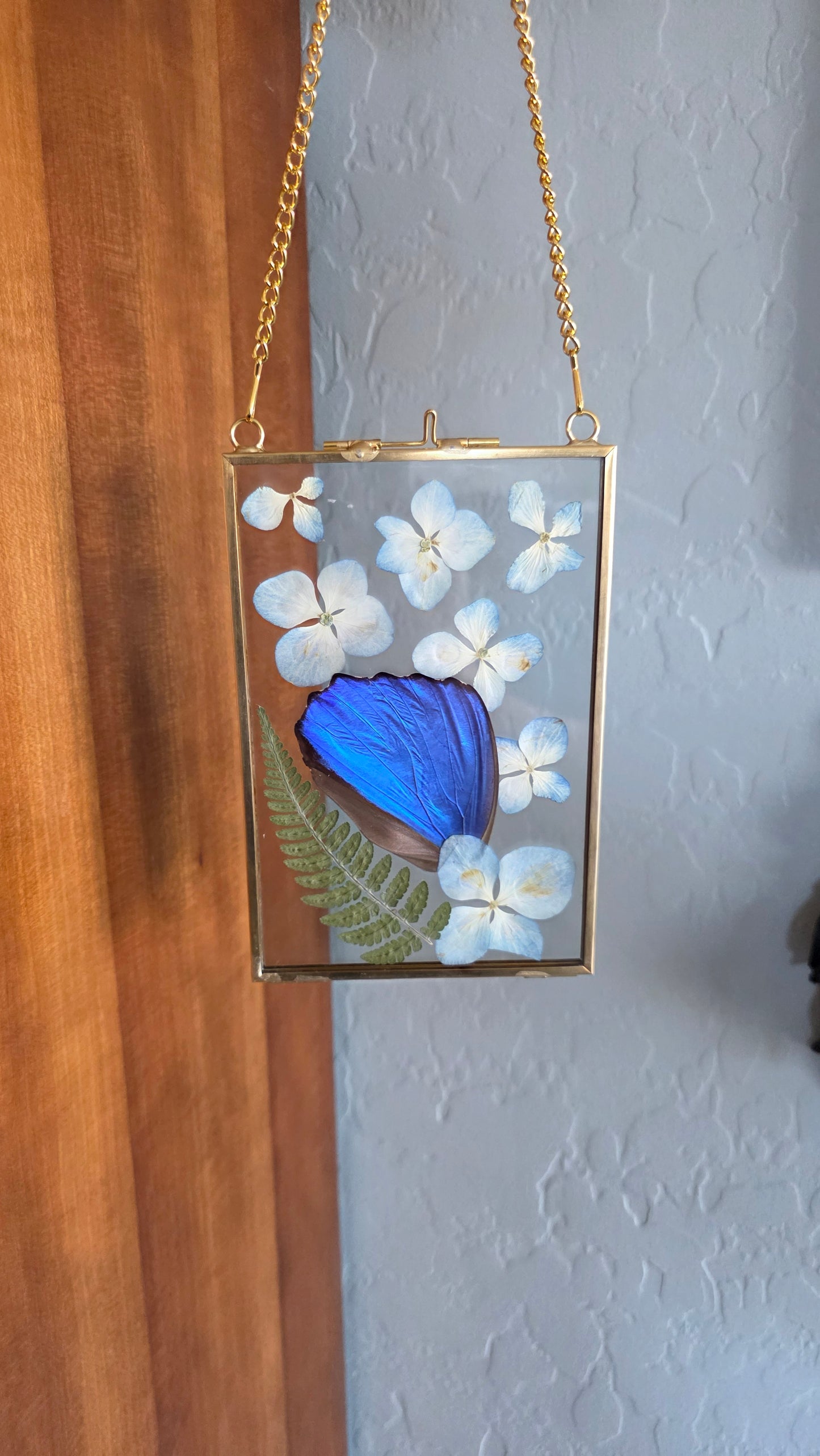 Morpho Wing Frame