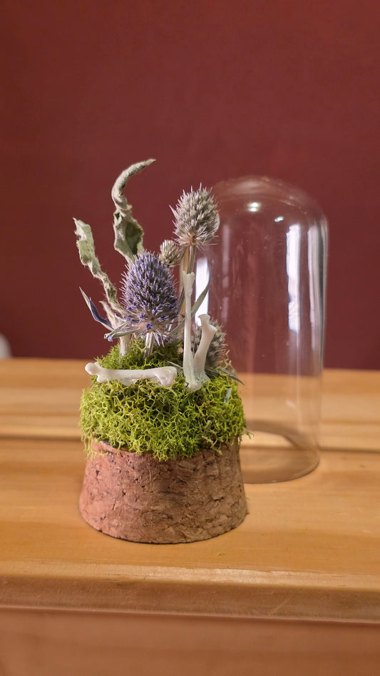 Rodent Bones Dome .1