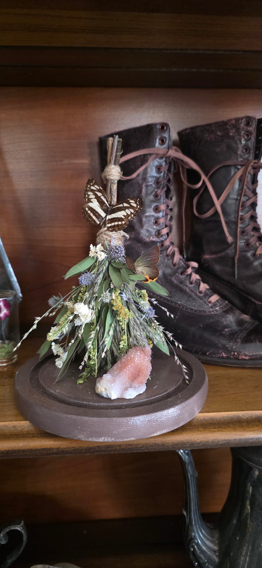 Witches Broom Butterfly Dome .2
