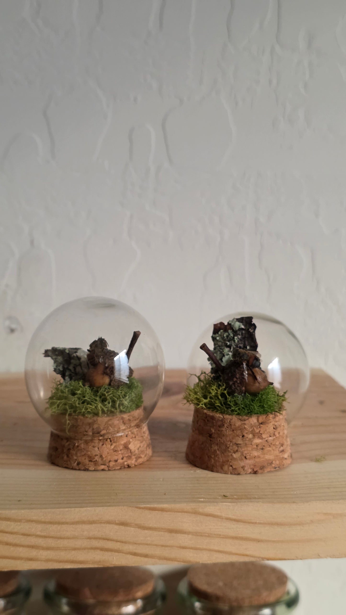 Mini Acorn Bee Dome