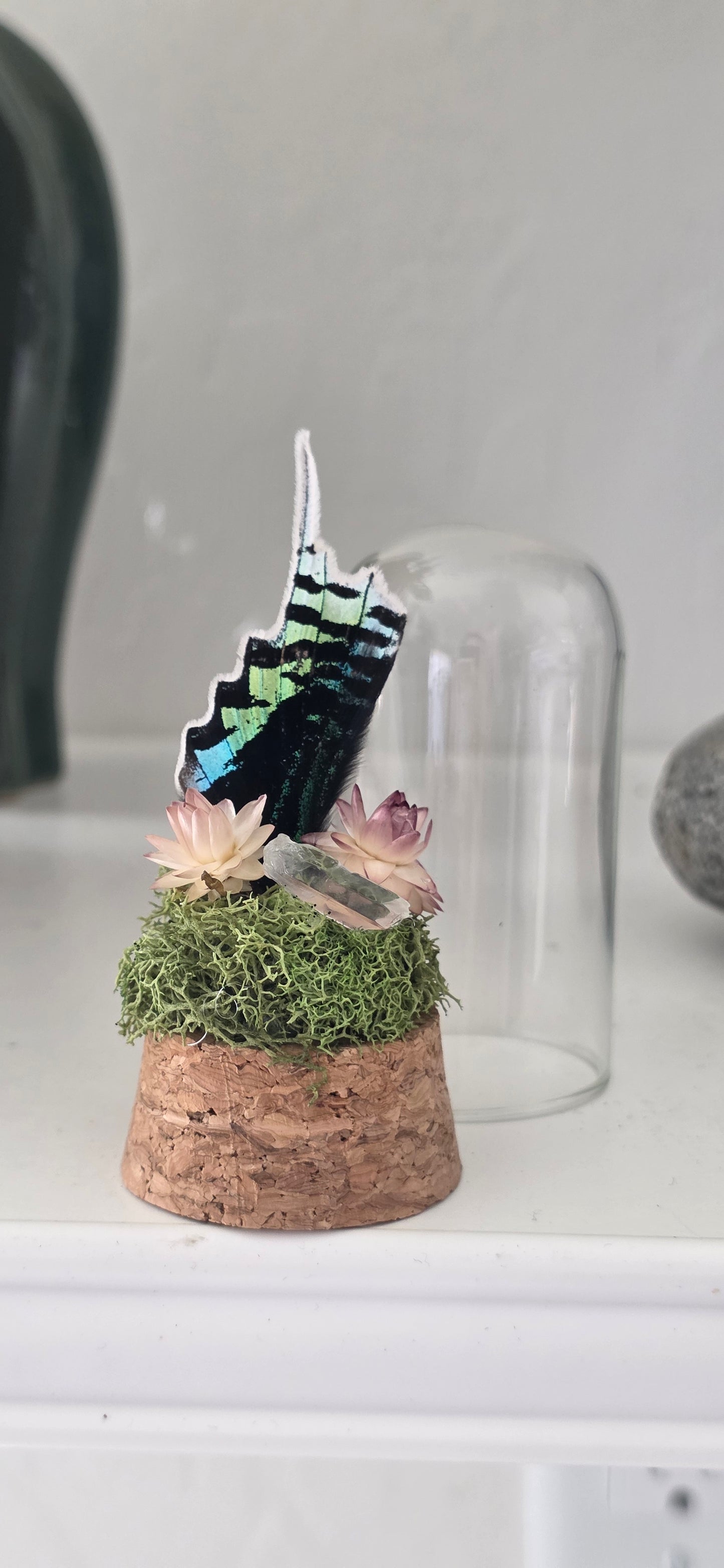 Wing Trinket.4