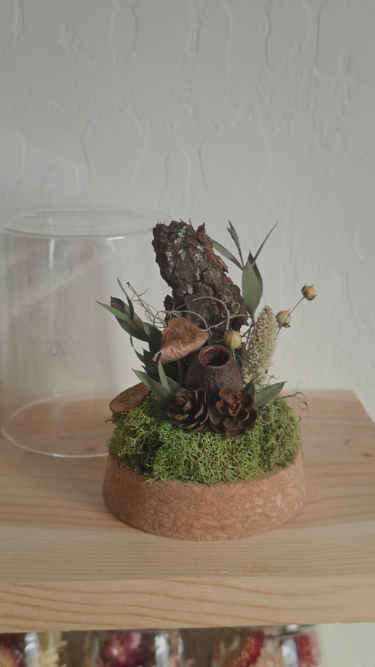 Woodland Dome .1