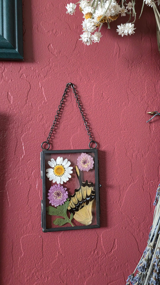 Tiger Swallowtail Wing Frame