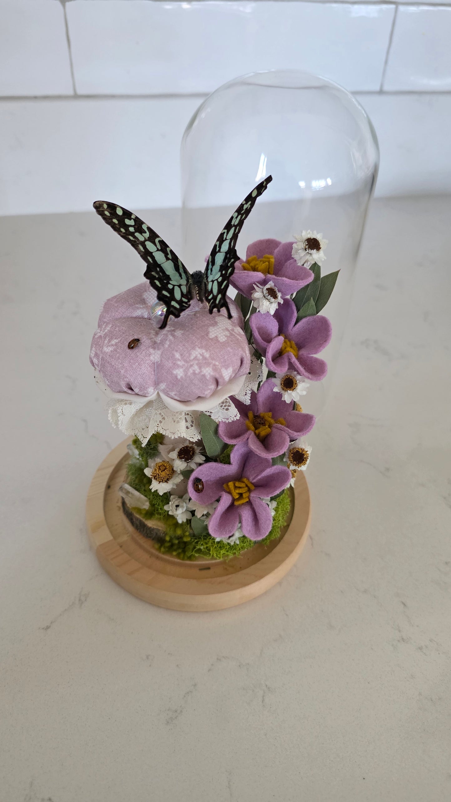 Butterfly Dome Workshop 2/8/26