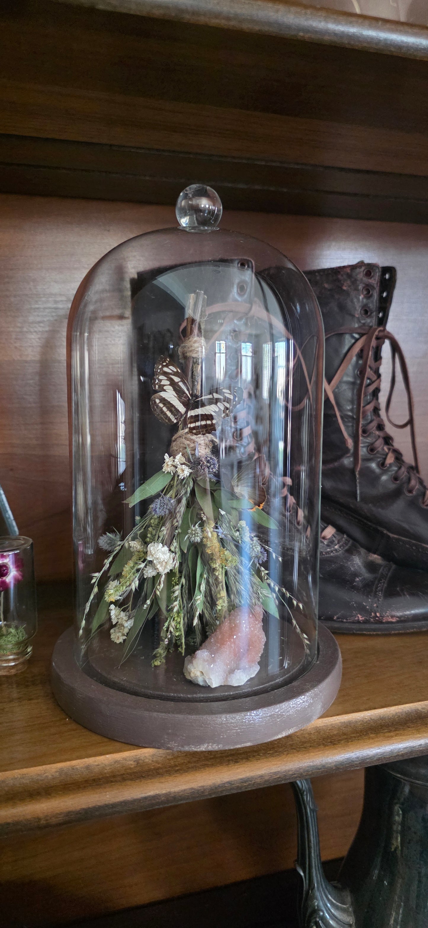 Witches Broom Butterfly Dome .2