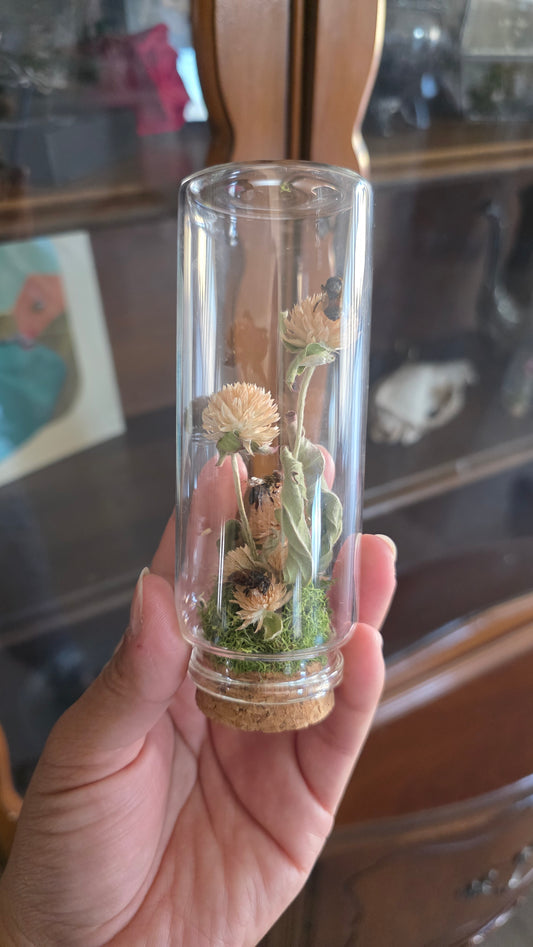 Mini Garden Honey Bees .1