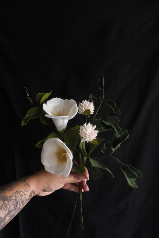 Moonlight Blooming