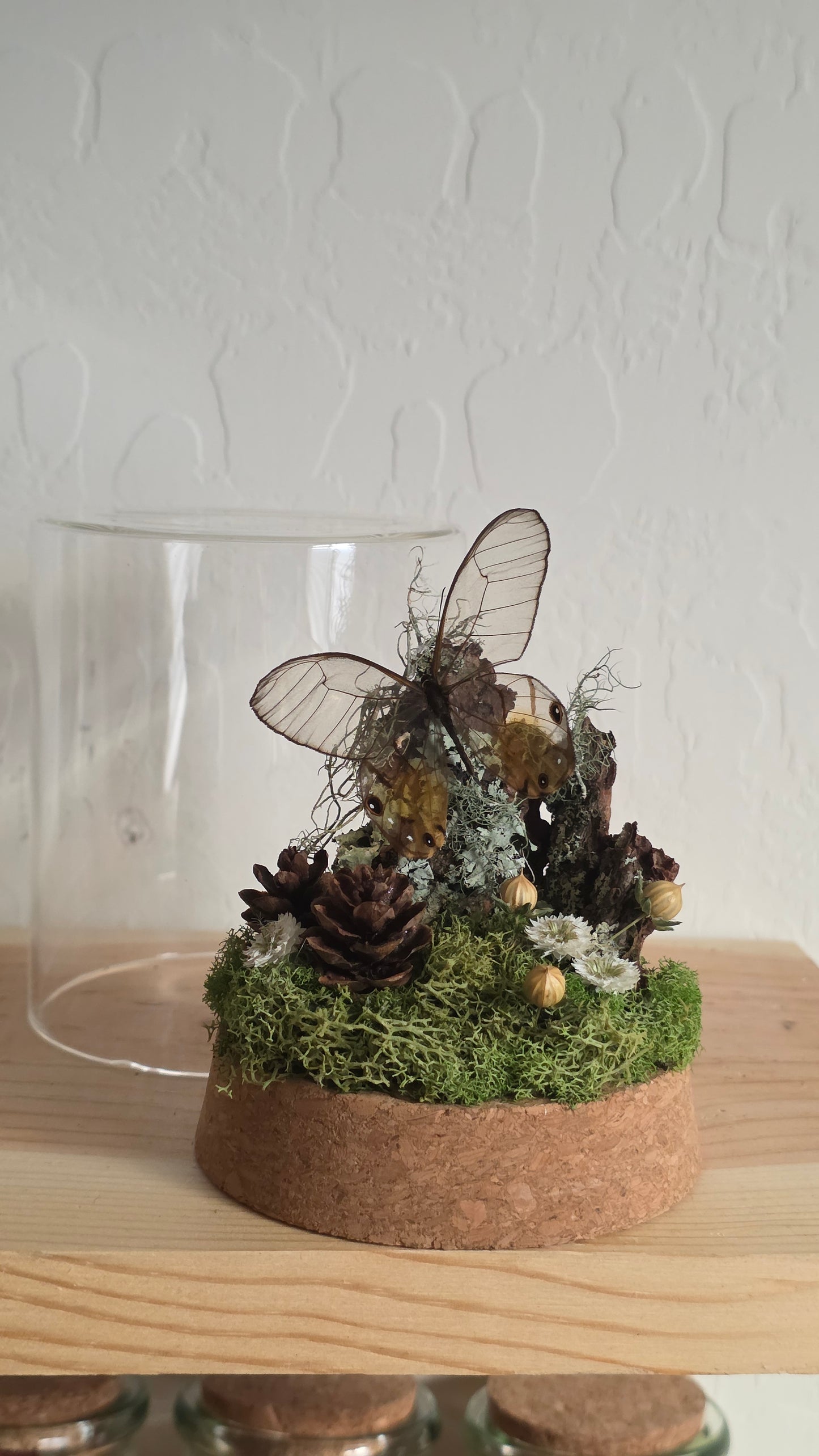 The Fairy Dome